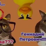 Котунет Урок