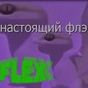 Восхитительная Ящерица Танцует Под Восхитительную Музыку
