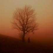 Interlinked The Lonely Tree