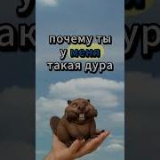 Аудио Приколы Про Жён