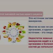 Я Все Таки Решила Сесть На Диету И Мой Диетолог Посоветовал