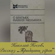 Тридцать Зёрен