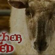 Chris The Sheep Father Ted