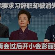 劲爆 赵乐际要求习辞职却被消失