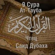 Сура Ат Тауба Саид Дубаха