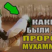 Cколько Детей Было У Пророка Мухаммада