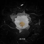 Avicii Sandro Cavazza So Much Better Avicii Remix