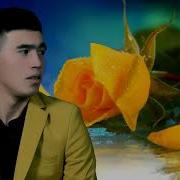 Shohimardon Taggaev To Ylar Muborak Шохимардон Тагаев Туйлар Муборак