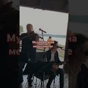 Белые Розы Шатунов На Балалайке