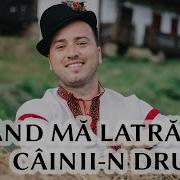 Lenuța Burghilă Cinta O Gitara
