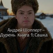 Андрей Шопперт Дурень Книга 4