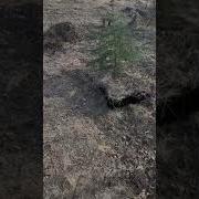 Уроки Маскировки Разведчику