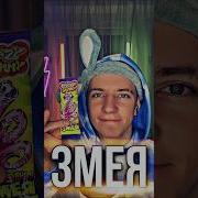 Я Змея Мем