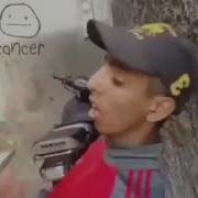 Вставай Пора На Пары