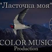 Ласточка Моя Евгений Крылатов Color Music Cover