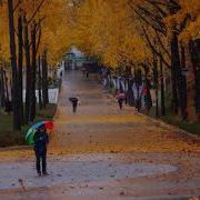 Осінь Ось Вона Осінь Ліна Костенко