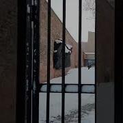 Я В Париже Адольф Гитлер