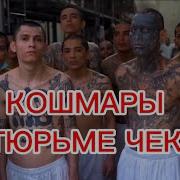 Сосут Хуй Лгбт Экстремизм В России Что Значит