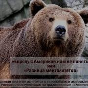 Русский Медведь Настя Башманова