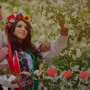 Всюду Буйно Квитне Черемшина Мов До Шлюбу Вбралася Дивчина