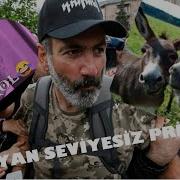 Vusal Aliyev Yandi Bagrim Basi