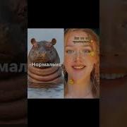 Привет Как Вы Себ Чувствуете На Самом Деле Оригинал