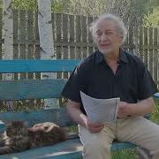 Александр Виницкий