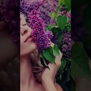 Александр Борисов Цветет Сирень
