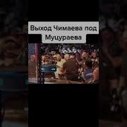 Выход Чимаева На Бой