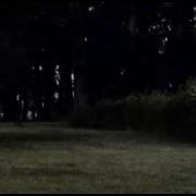 Alex Slenderman