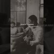 Бахор Утиб Келган Калдиргоч