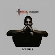 Haddaway What Is Love Acapella