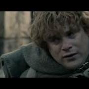 Later We Will Be Like This Frodo Baggins