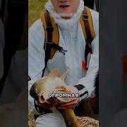 Самый Бесстрашный Мужчина