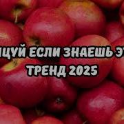 Плейлист 2024 Года