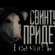 Свинтус Придёт Все Серии