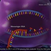 Cd3 Tapescript 1