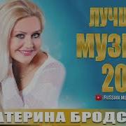 Екатерина Бродская Старый Клен
