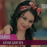 Бачаи Дангара