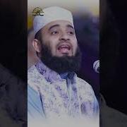 ক র আম র উদ দ ন র স