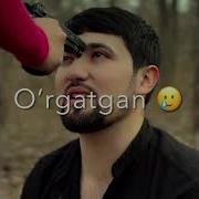 Telba Palitsiyachi Muzika