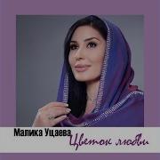 Малика Уцаева Цветок Любви На Русском