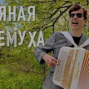 Пьяная Черемуха Вячеслав Абросимов