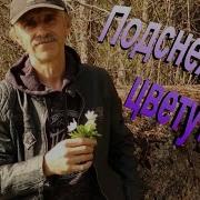 Подснежники Цветут Сергей