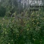 Родной Кусарский Район