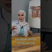 Кыздардын Кыздыгы Кандай Болот