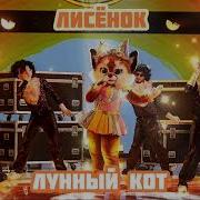 Лисёнок Лунный Кот