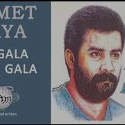 Qizil Gul Olmayaydi Saralib Solmayaydi