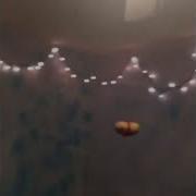 A Potato Flew Around My Room Meme Animation