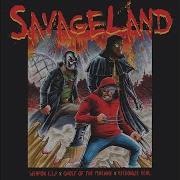 Savage Intro Weapon E S P Ghost Of The Machine Reckonize Real